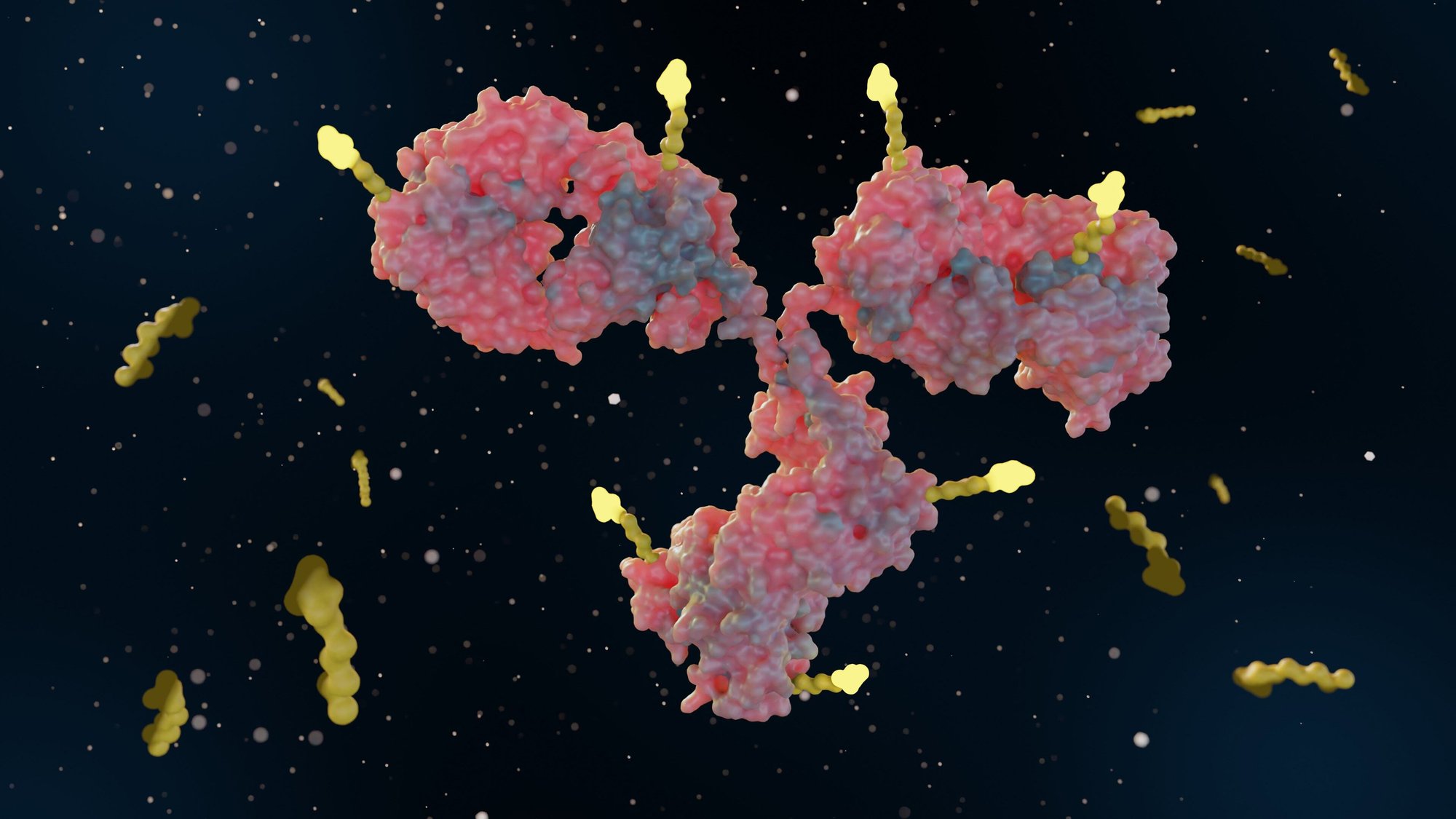 Case report Successful antibody humanization for cervical cancer therapy with improved binding