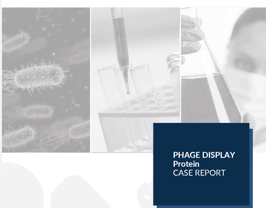 Case-study_phage_display_protein