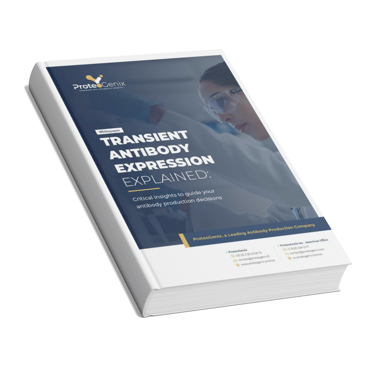 Copie de Votre texte de paragraphe (2)