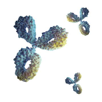 New Developability Analysis Assess your antibody sequence’s developability with our free tool (1)