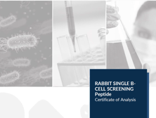 case_study_b-cell