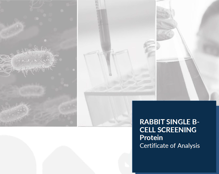case_study_b-cell_protein