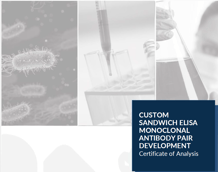 data_report_hybridoma_sandwich_elisa
