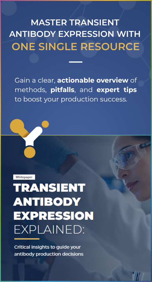 transient antibody expression explained (1)-2